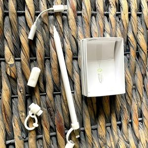 First generation Apple Pen.